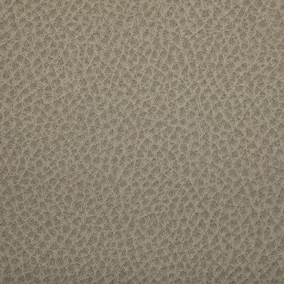 KRAVET CONTRACT WOOLF.121.0 WOOLF SANDBAR Fabric - Eade's Wallpaper