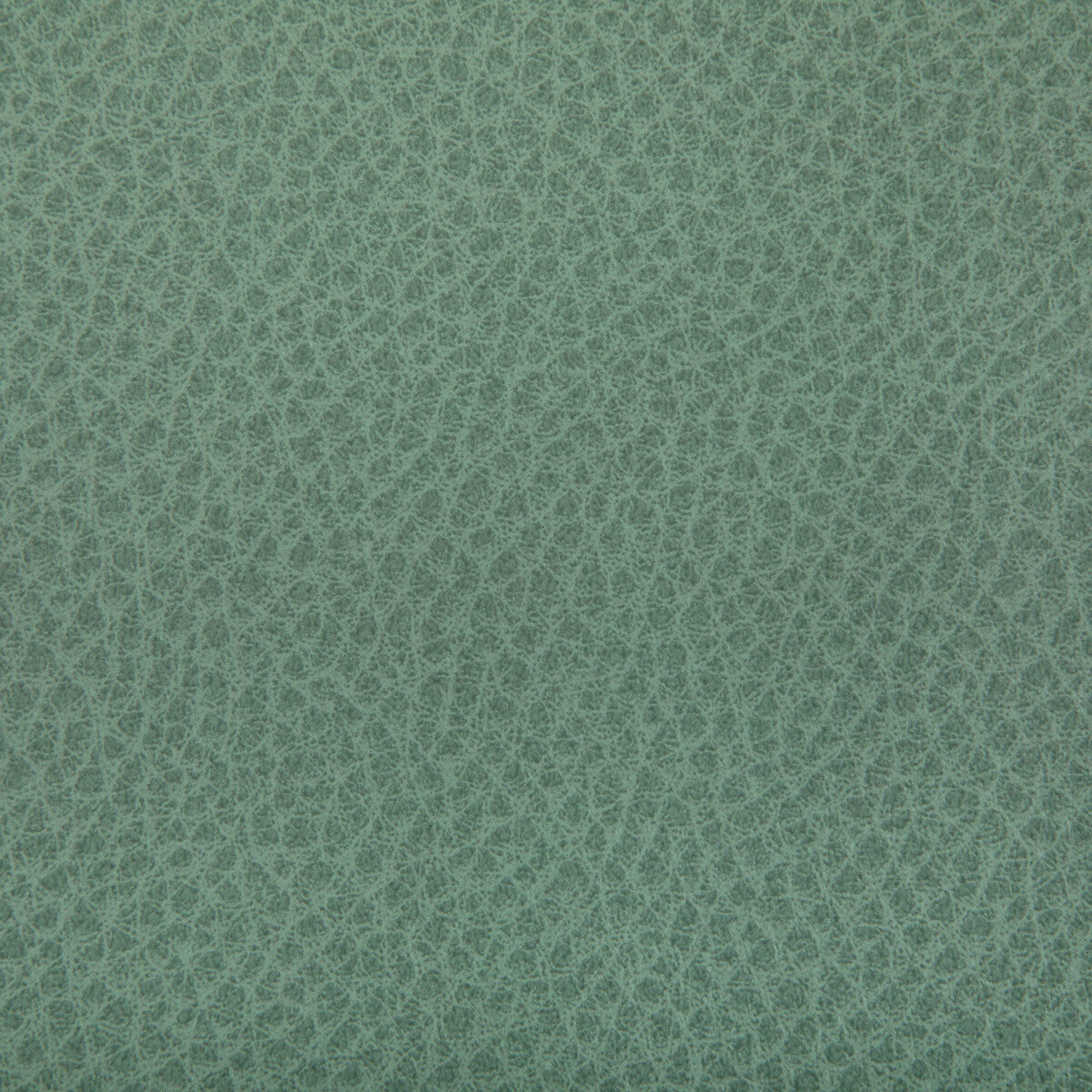 KRAVET CONTRACT WOOLF.130.0 WOOLF JULEP Fabric - Eade's Wallpaper