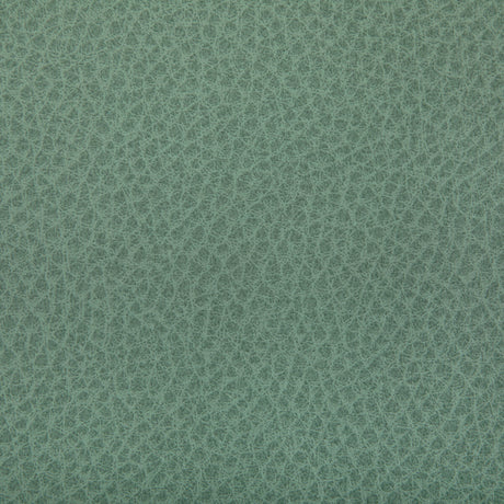 KRAVET CONTRACT WOOLF.130.0 WOOLF JULEP Fabric - Eade's Wallpaper