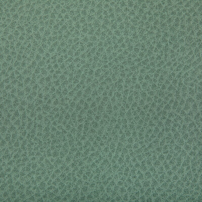 KRAVET CONTRACT WOOLF.130.0 WOOLF JULEP Fabric - Eade's Wallpaper
