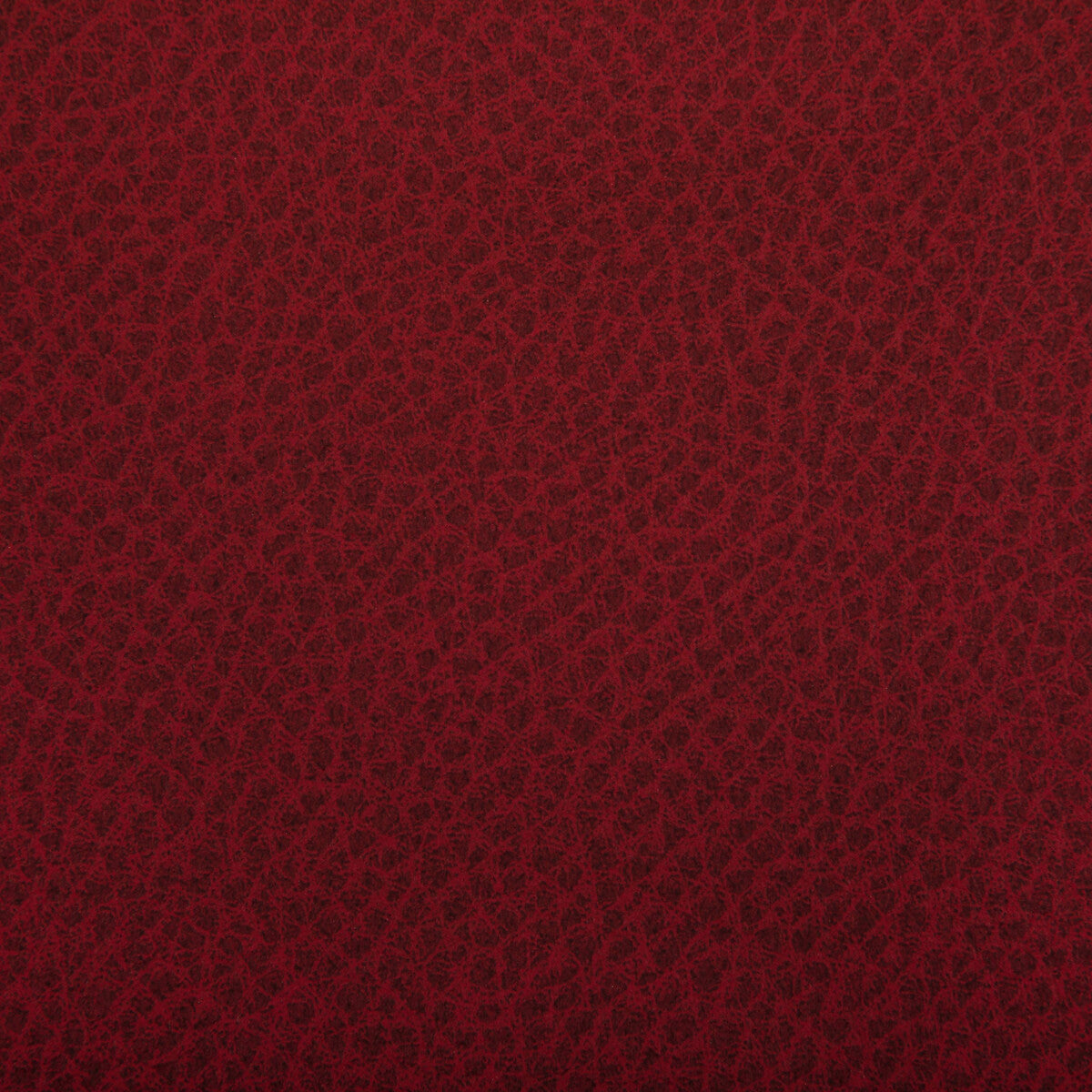 KRAVET CONTRACT WOOLF.19.0 WOOLF FIESTA Fabric - Eade's Wallpaper