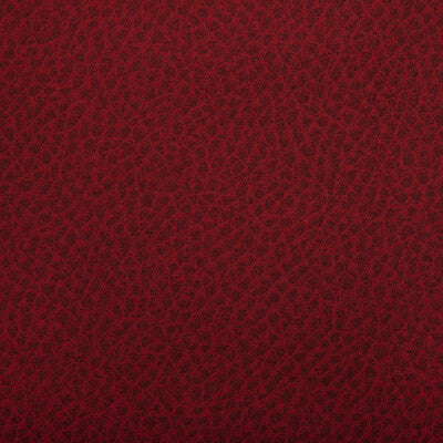 KRAVET CONTRACT WOOLF.19.0 WOOLF FIESTA Fabric - Eade's Wallpaper