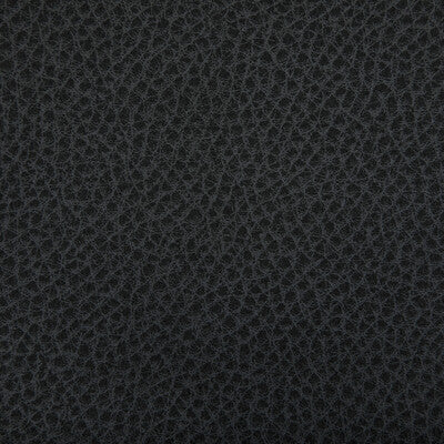 KRAVET CONTRACT WOOLF.21.0 WOOLF SHADOW Fabric - Eade's Wallpaper