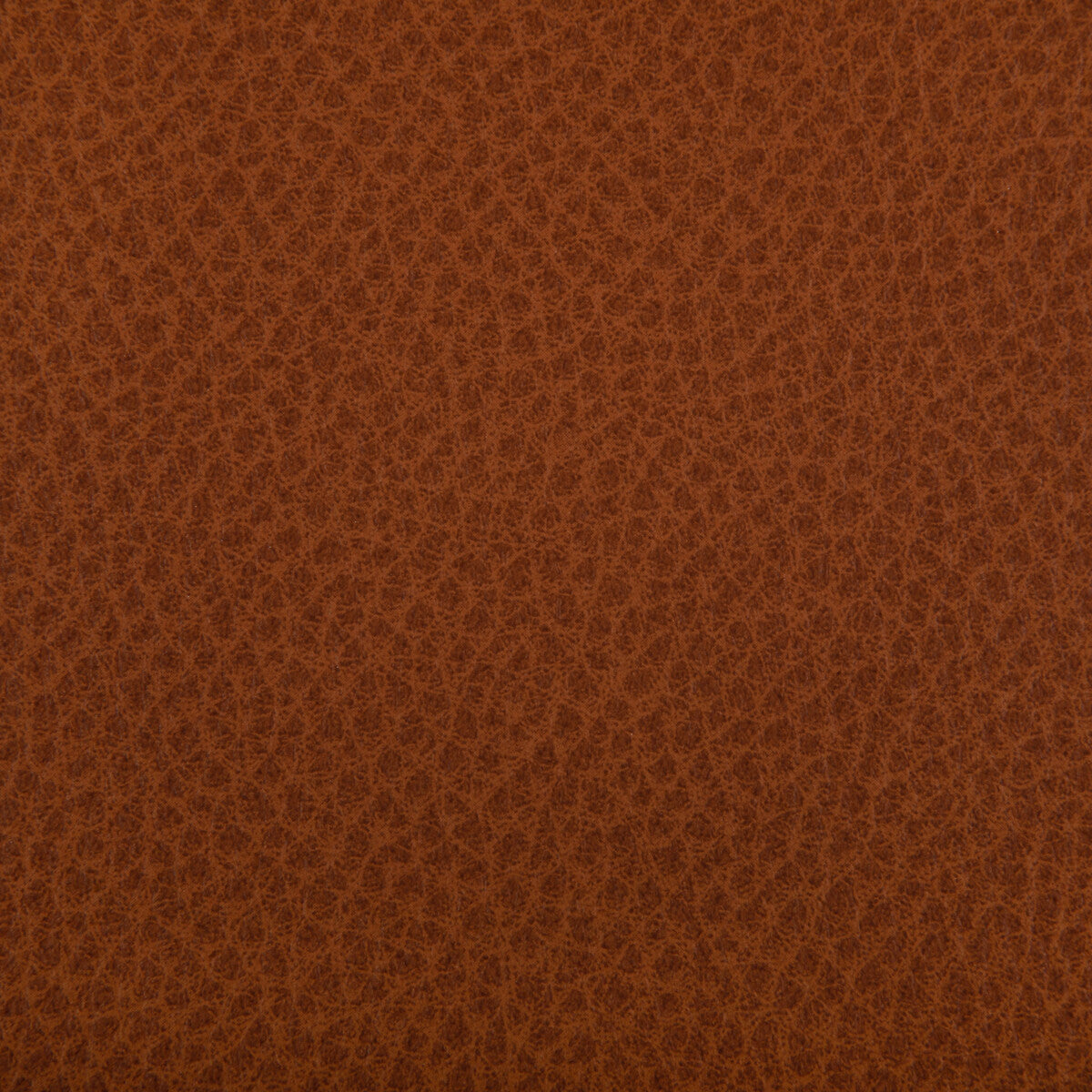 KRAVET CONTRACT WOOLF.24.0 WOOLF CANYON Fabric - Eade's Wallpaper