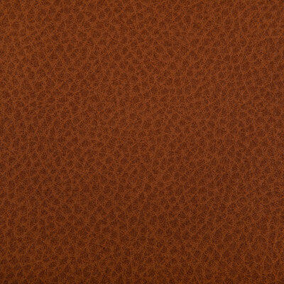 KRAVET CONTRACT WOOLF.24.0 WOOLF CANYON Fabric - Eade's Wallpaper