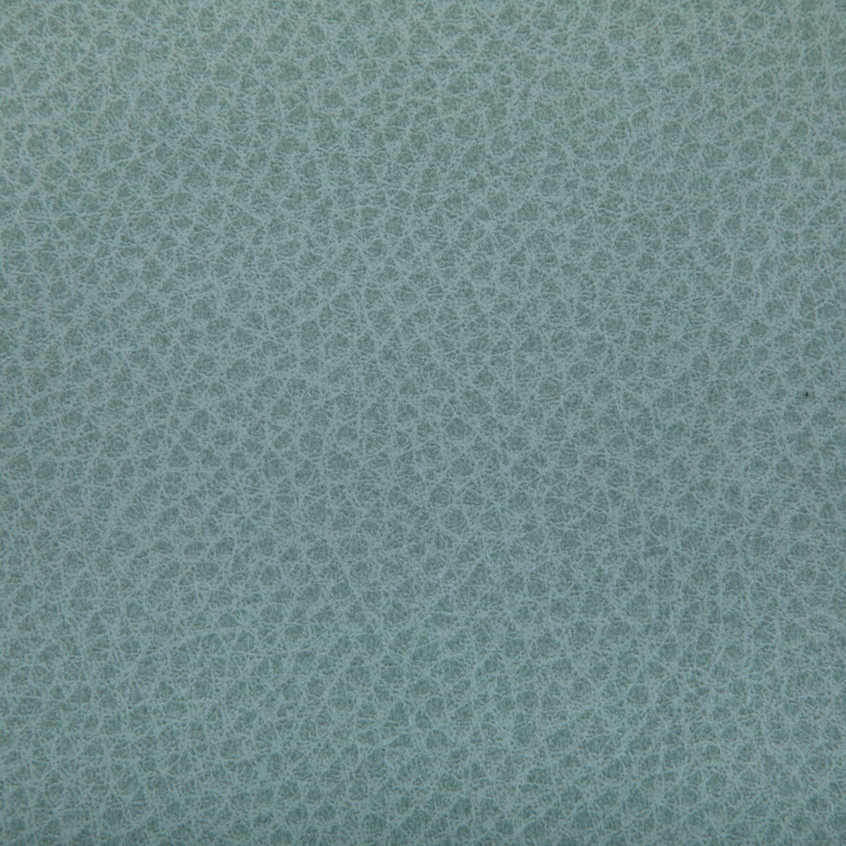 KRAVET CONTRACT WOOLF.35.0 WOOLF MINERAL Fabric - Eade's Wallpaper