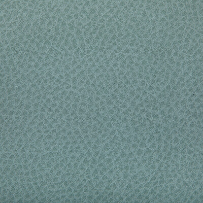 KRAVET CONTRACT WOOLF.35.0 WOOLF MINERAL Fabric - Eade's Wallpaper