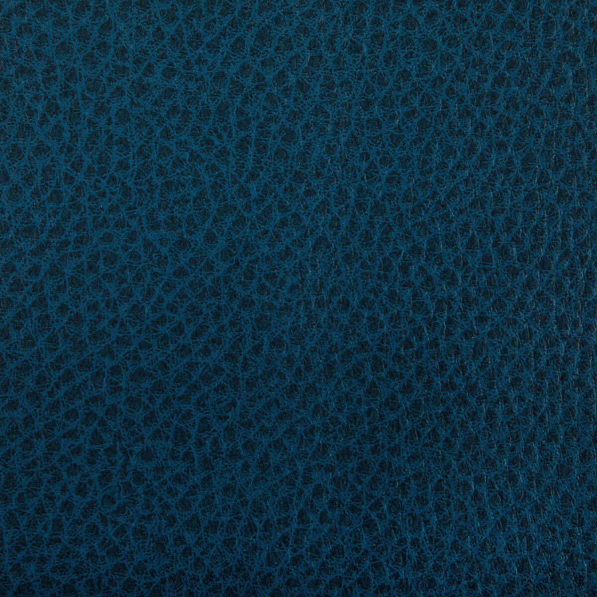KRAVET CONTRACT WOOLF.5.0 WOOLF DENIM Fabric - Eade's Wallpaper