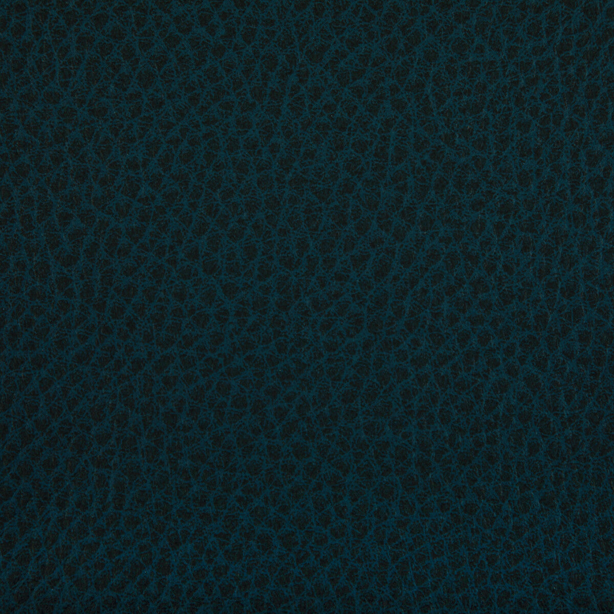 KRAVET CONTRACT WOOLF.505.0 WOOLF INK Fabric - Eade's Wallpaper