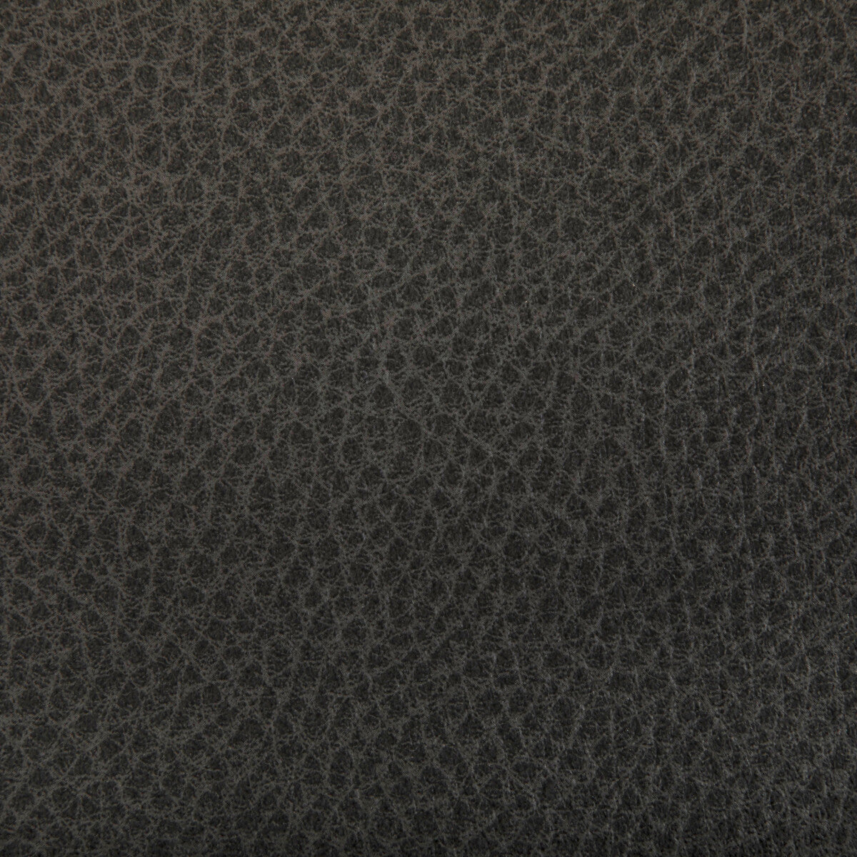 KRAVET CONTRACT WOOLF.52.0 WOOLF JAVA Fabric - Eade's Wallpaper