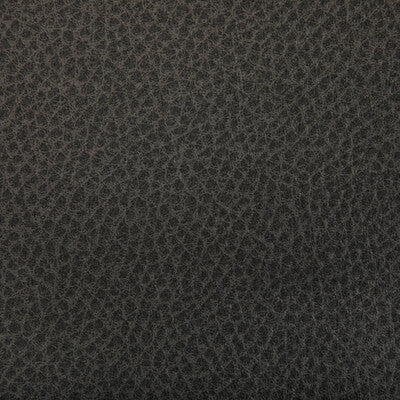 KRAVET CONTRACT WOOLF.52.0 WOOLF JAVA Fabric - Eade's Wallpaper
