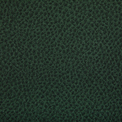 KRAVET CONTRACT WOOLF.53.0 WOOLF WOODLAND Fabric - Eade's Wallpaper
