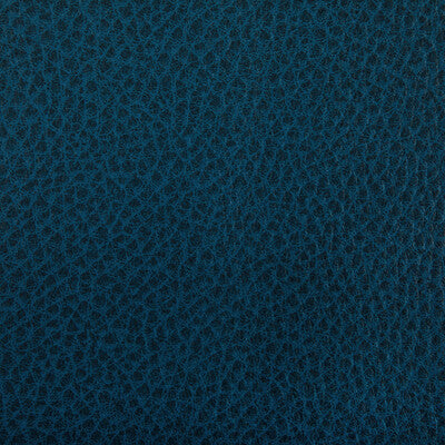 KRAVET CONTRACT WOOLF.5.0 WOOLF DENIM Fabric - Eade's Wallpaper