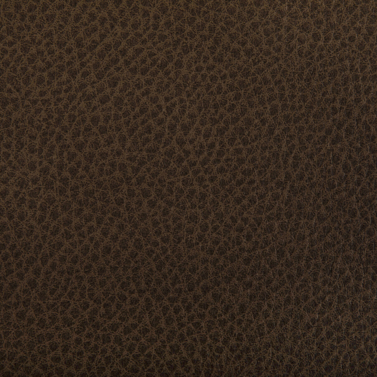 KRAVET CONTRACT WOOLF.6.0 WOOLF TOBACCO Fabric - Eade's Wallpaper