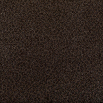 KRAVET CONTRACT WOOLF.66.0 WOOLF COCOA Fabric - Eade's Wallpaper