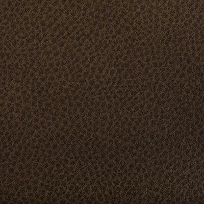 KRAVET CONTRACT WOOLF.6.0 WOOLF TOBACCO Fabric - Eade's Wallpaper