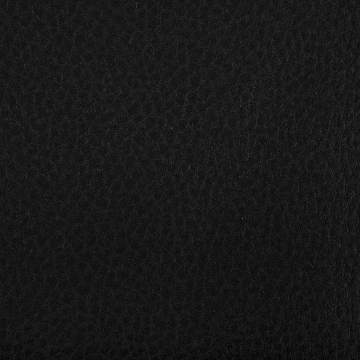 KRAVET CONTRACT WOOLF.8.0 WOOLF STALLION Fabric - Eade's Wallpaper