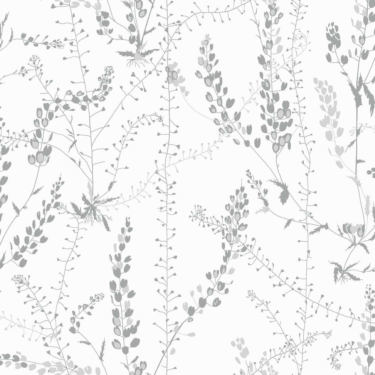 Wall Vision WV1786 Bladranker Grey Botanical Wallpaper