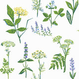 Wall Vision WV1789 Köksväxter Green Floral Wallpaper