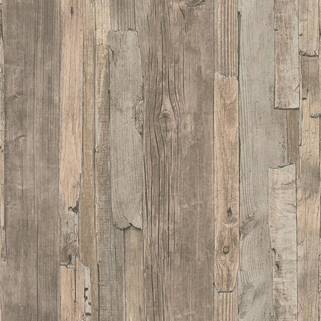 Galerie WW22215 Beige Brown Drift Wood Effect Motif - Eade's Wallpaper
