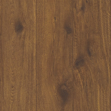 Galerie WW22218 Brown Forest Wood Effect Motif - Eade's Wallpaper
