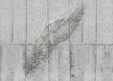 Komar X7-1023 Concrete Feather Wall Mural