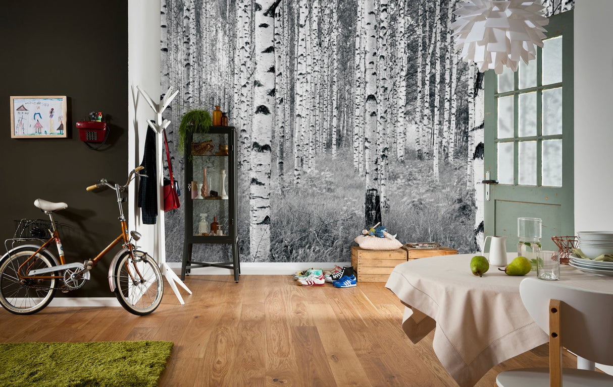 Komar XXL4-023 Birch Forest Wall Mural