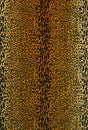 Scalamandre Y0 00010690 GOLD / BROWN LEOPARD VELVET Fabric - Eade's Wallpaper