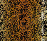 Scalamandre Y0 00010690 GOLD / BROWN LEOPARD VELVET Fabric - Eade's Wallpaper