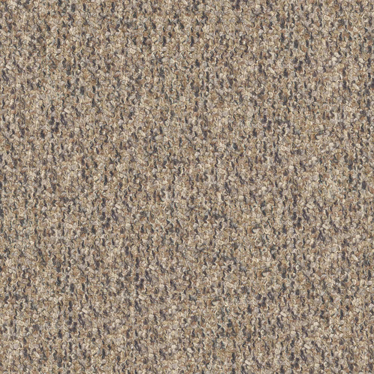 Eade’s # 720 FUNGI