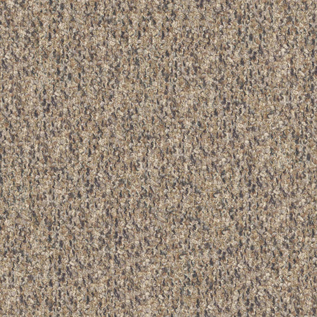 Eade’s # 720 FUNGI