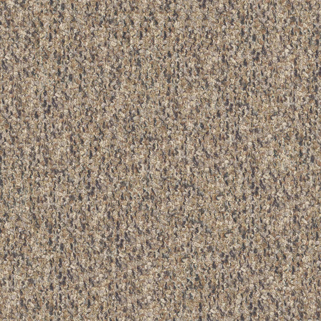 Eade’s # 720 FUNGI