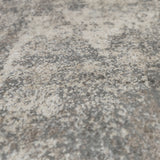 Amer Rugs YAS-1 Yasmin Contemporary /Beige Area Rug