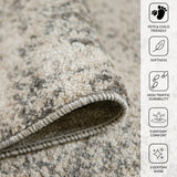 Amer Rugs YAS-1 Yasmin Contemporary /Beige Area Rug
