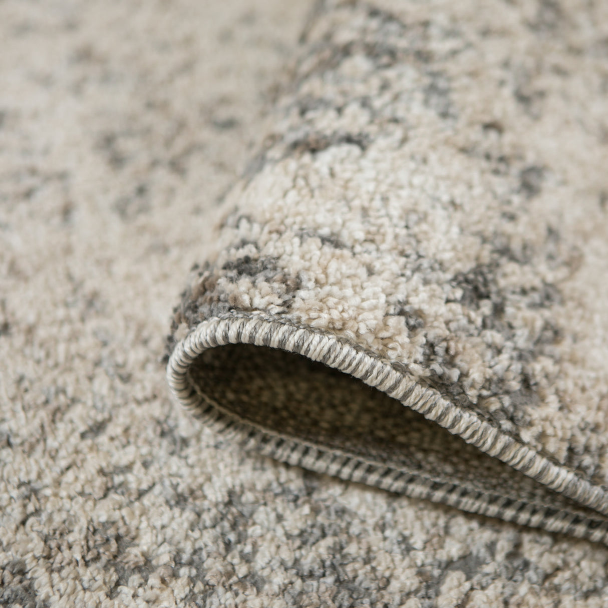 Amer Rugs YAS-1 Yasmin Contemporary /Beige Area Rug