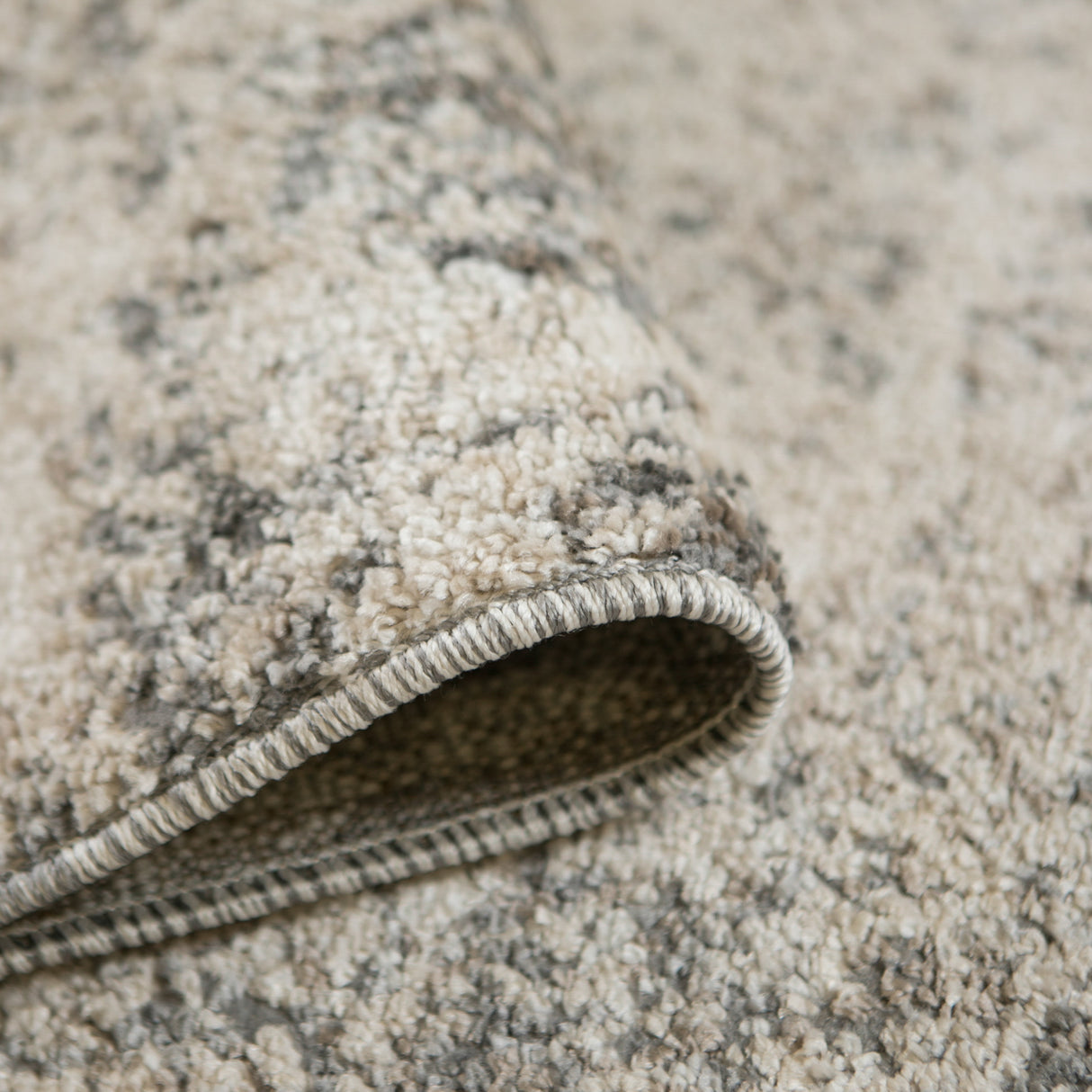 Amer Rugs YAS-1 Yasmin Contemporary /Beige Area Rug