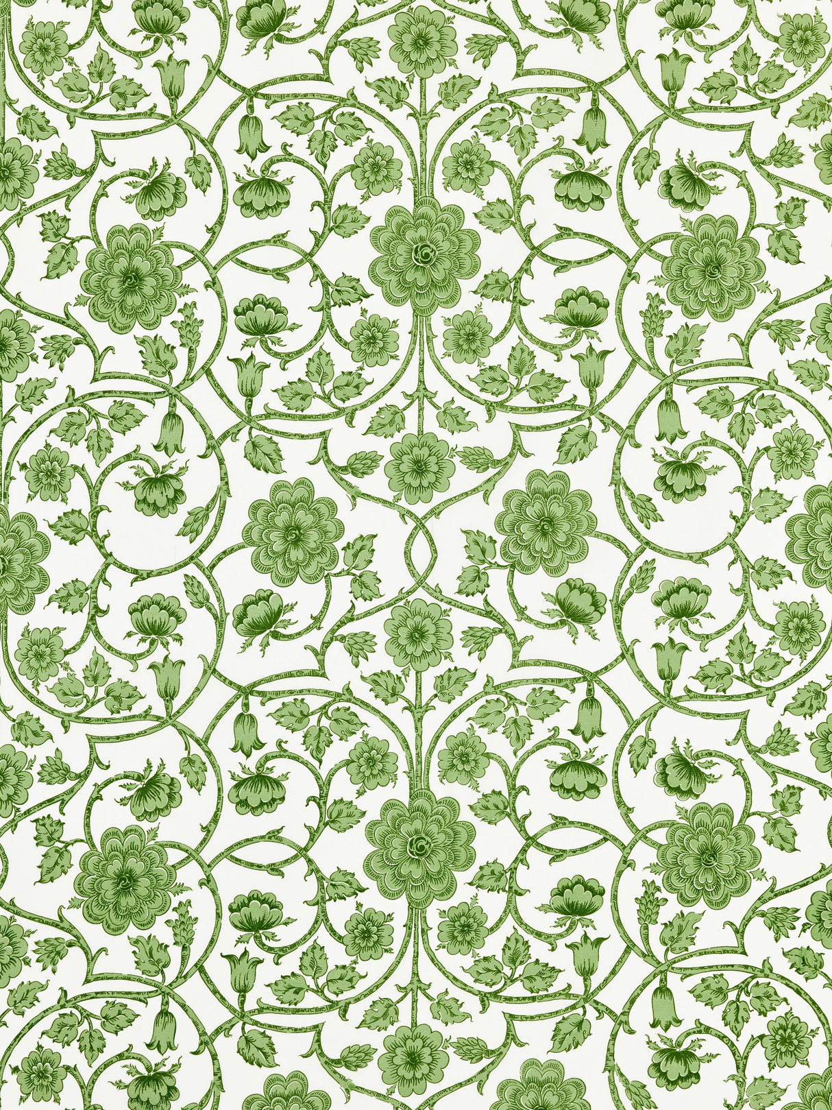 Scalamandre YD 00015736 FERN ORNAMENTAL GATE Fabric - Eade's Wallpaper