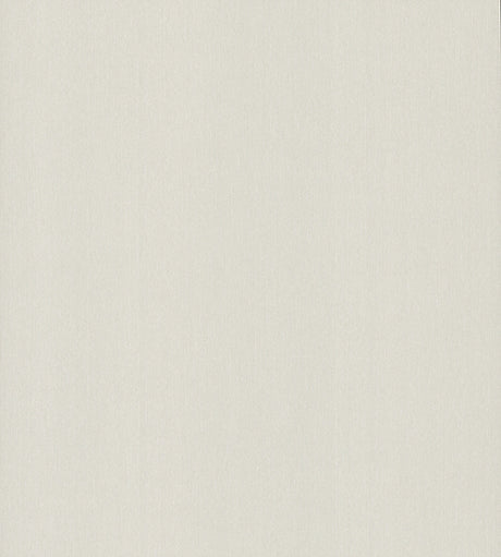 Eade’s Cotton Yarn Soft White