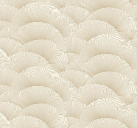 Eade’s Morning Shell Cream & Gold