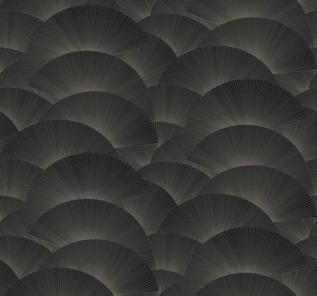 Eade’s Morning Shell Black & Grey