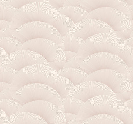 Eade’s Morning Shell Blush