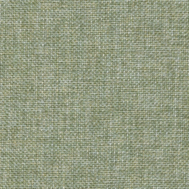 Eade’s ZATKA FERN FERN