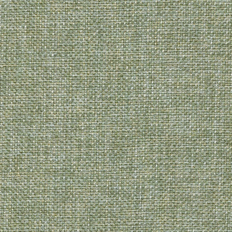 Eade’s ZATKA FERN FERN