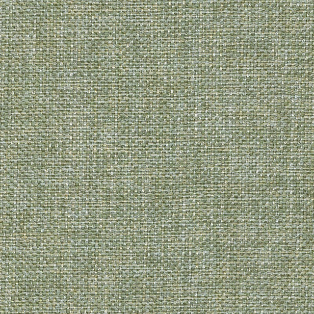 Eade’s ZATKA FERN FERN