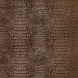 KRAVET DESIGN ZEV.6.0 KRAVET DESIGN ZEV-6 Fabric - Eade's Wallpaper