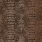 KRAVET DESIGN ZEV.6.0 KRAVET DESIGN ZEV-6 Fabric - Eade's Wallpaper
