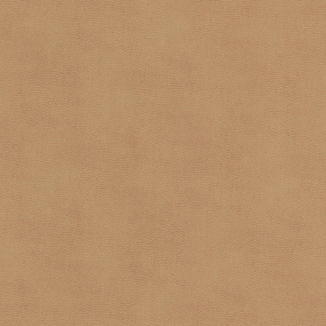 STOUT ZIEM-1 ZIEMBA 1 LION Fabric - Eades Wallpaper & Fabric