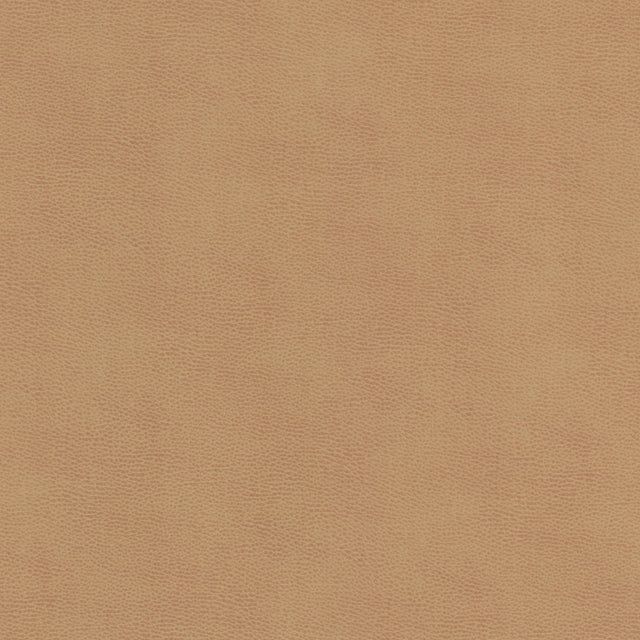 STOUT ZIEM-1 ZIEMBA 1 LION Fabric - Eades Wallpaper & Fabric