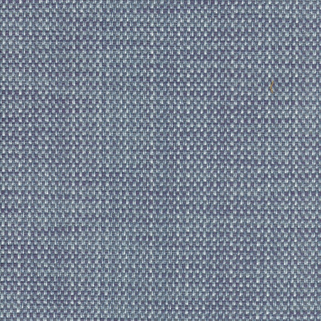 Eade’s ZOOK BLUE BLUE