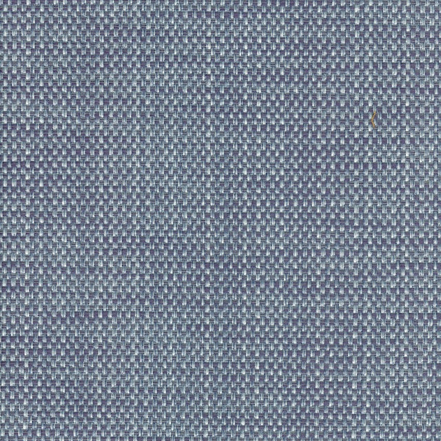 Eade’s ZOOK BLUE BLUE